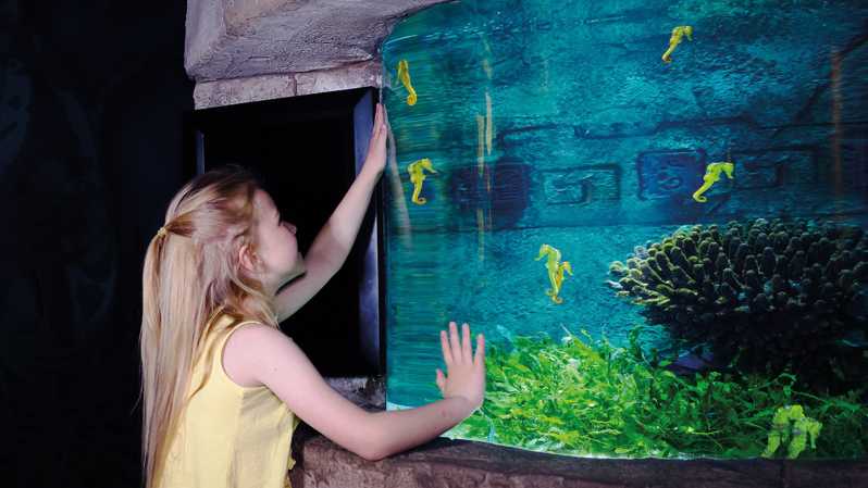 SEA LIFE Berlin Tickets | GetYourGuide