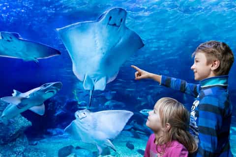 SEA LIFE Berlin Tickets
