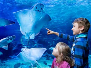 SEA LIFE Berlin: Tickets SEA LIFE Berlin: Tickets