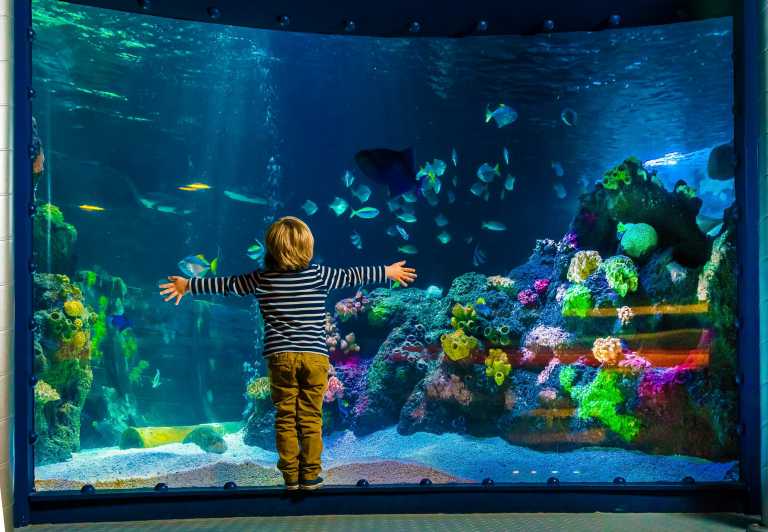 SEA LIFE Berlin Tickets | GetYourGuide