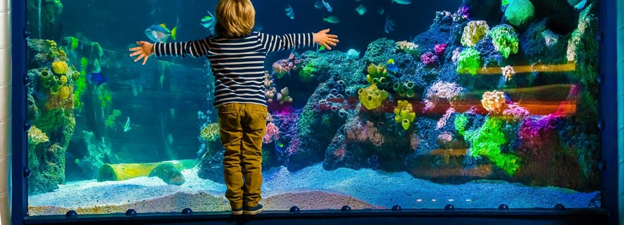 SEA LIFE Berlin: Entrébilletter