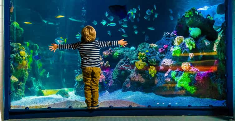 Sea Life Berlin Tickets Getyourguide