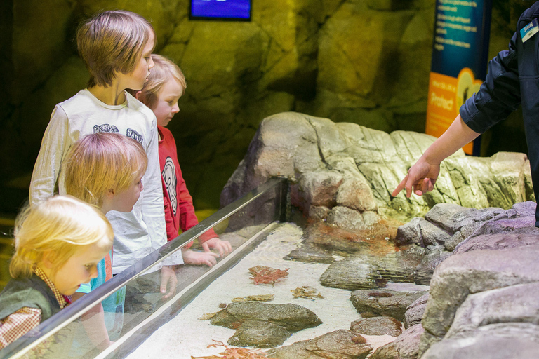 SEA LIFE Berlijn TicketsDagkaart