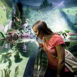 Munich : billet 1 jour pour l'aquarium Sea Life