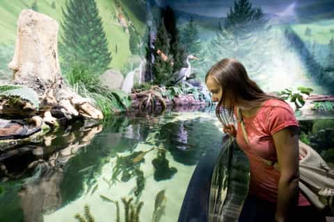 Мюнхен: билет на день в Sea Life