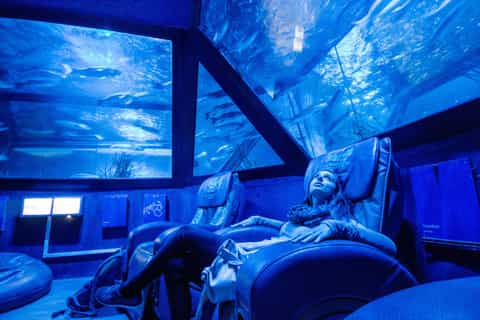 München: Sea Life Tagesticket