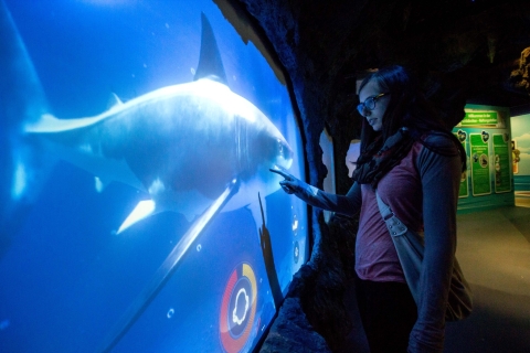 Munich : billet 1 jour pour l'aquarium Sea LifeMunich : billet 1 jour aquarium Sea Life - dernière minute