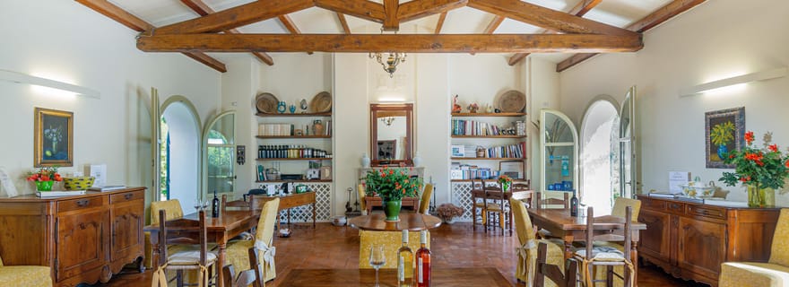 Alghero: degustazione guidata di vino e olio in una cantina boutique
