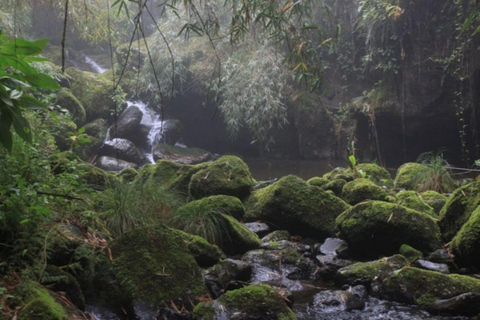 Chebera Churchura: 5-Day Wildlife & Nature Safari Experience