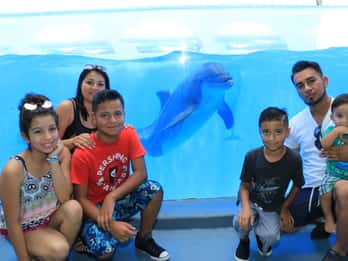 Panama City Beach: Eintrittskarte für den Gulf World Marine Park Panama City Beach: Eintrittskarte für den Gulf World Marine Park
