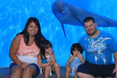 Panama City Beach: Gulf World Marine Park Entrance Ticket