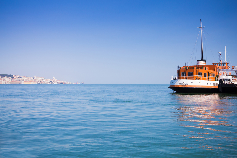 Excursão a pé pela Lisboa Total Experience com almoço de frutos do mar