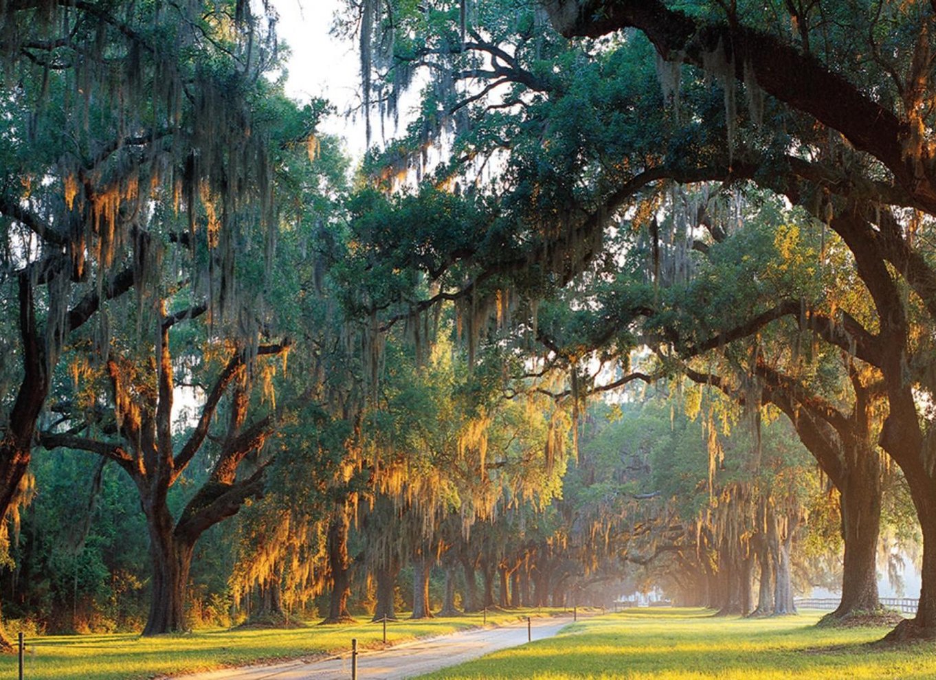 Fra Charleston: Indgang til Boone Hall Plantation med transfer