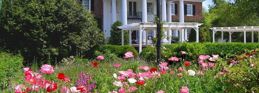 Boone Hall Plantation, Mount Pleasant - Book Tickets & Tours | GetYourGuide