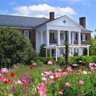 Boone Hall Plantation: Admission & Day Trip from Charleston