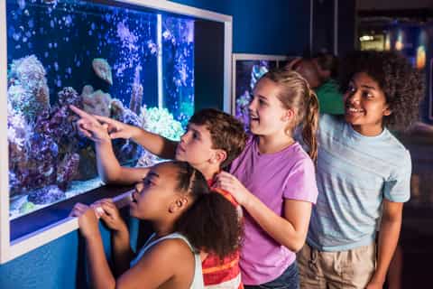 St. Augustine: Marineland Park Admission Ticket