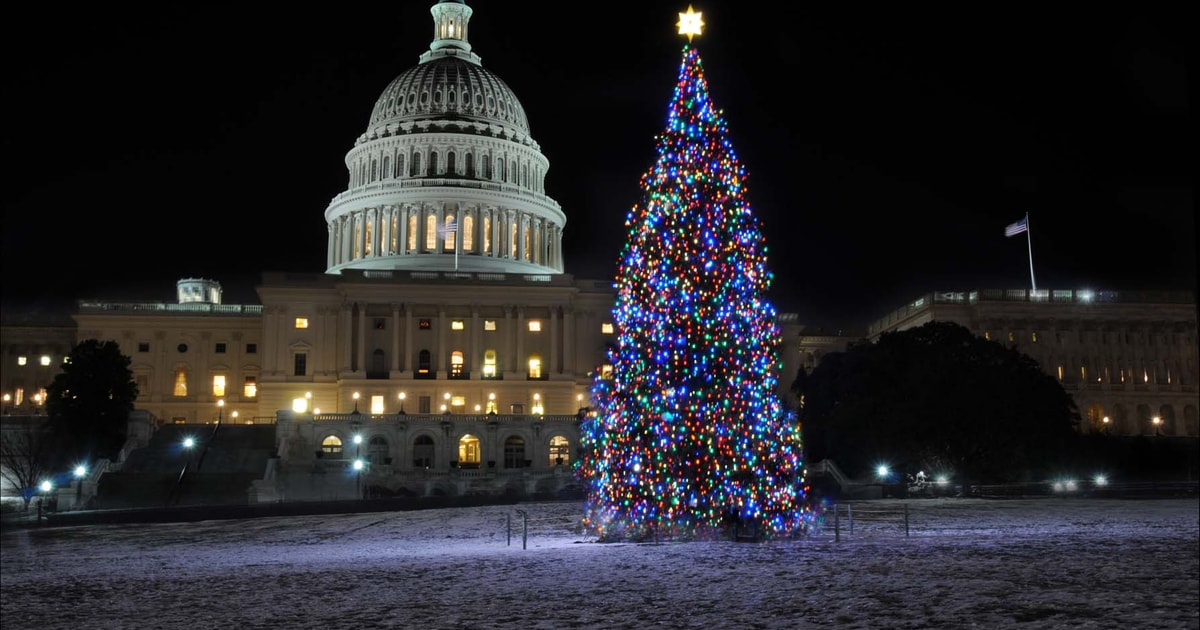 Washington, DC Holiday Lights Nighttime Bus Tour GetYourGuide