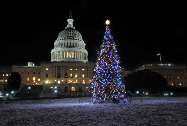 Visit Washington, DC Holiday Lights Nighttime Bus Tour in Washington, D.C.