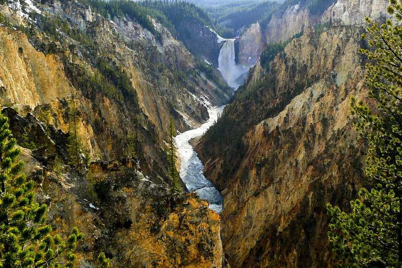 West Yellowstone: Yellowstone Day Tour Including Entry Fee