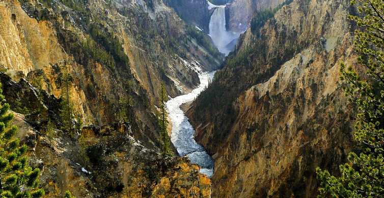 Yellowstone National Park, Wyoming - Book Tickets & Tours | GetYourGuide