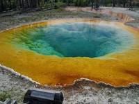 West Yellowstone, Tour da Giorno di Yellowstone, compresa la quota di iscrizione - Housity