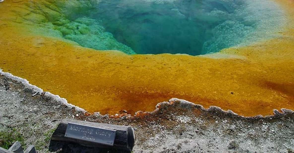 West Yellowstone: Yellowstone Park Tour with Local Guide