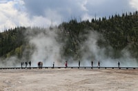 West Yellowstone, Tour da Giorno di Yellowstone, compresa la quota di iscrizione - Housity