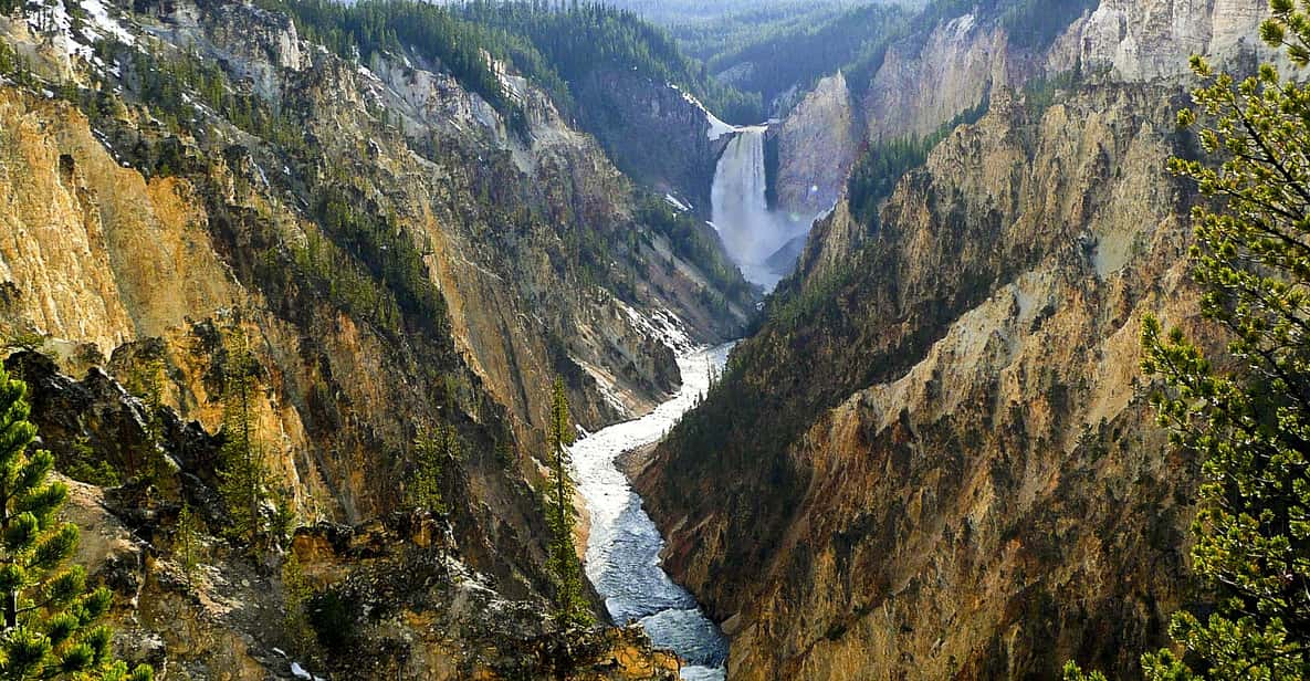 From Jackson: Yellowstone Day Tour Including Entrance Fee