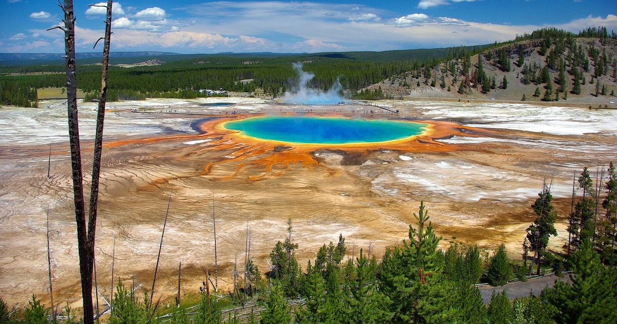 From Jackson Yellowstone Day Tour Including Entrance Fee GetYourGuide