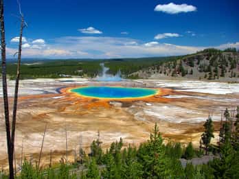 Ab Jackson: Yellowstone Day Tour inklusive Eintrittsgebühr Ab Jackson: Yellowstone Day Tour inklusive Eintrittsgebühr