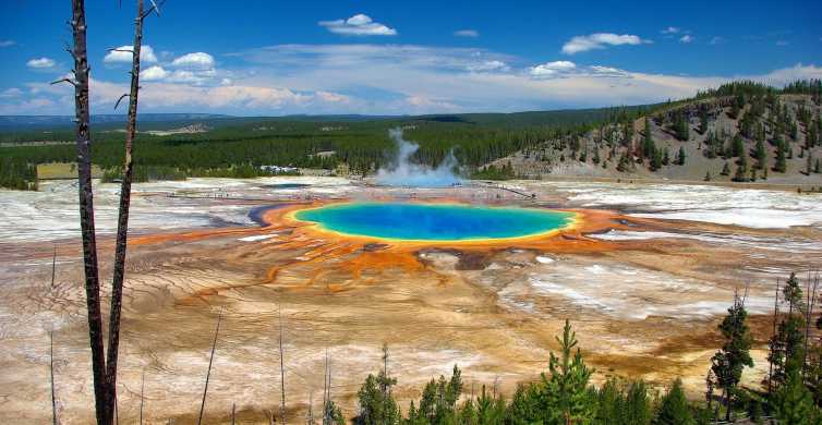 From Jackson Yellowstone Day Tour Including Entrance Fee GetYourGuide