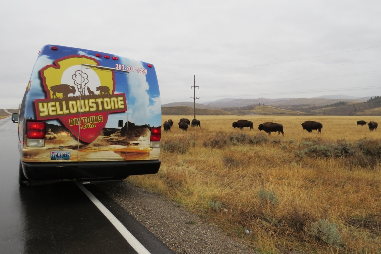 Van Jackson: Yellowstone-dagtour inclusief toegangsprijs