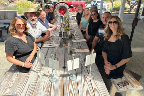 Sonoma Valley: Guided Winery Tour with Picnic Lunch