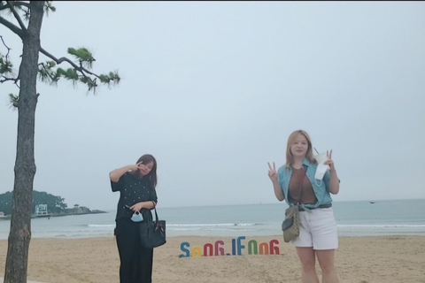 Busan: Excursão compartilhada para ver o pôr do sol em Gyeongju em van de luxoBusan: Excursão compartilhada para ver o pôr do sol em Gyeongju em uma van de luxo