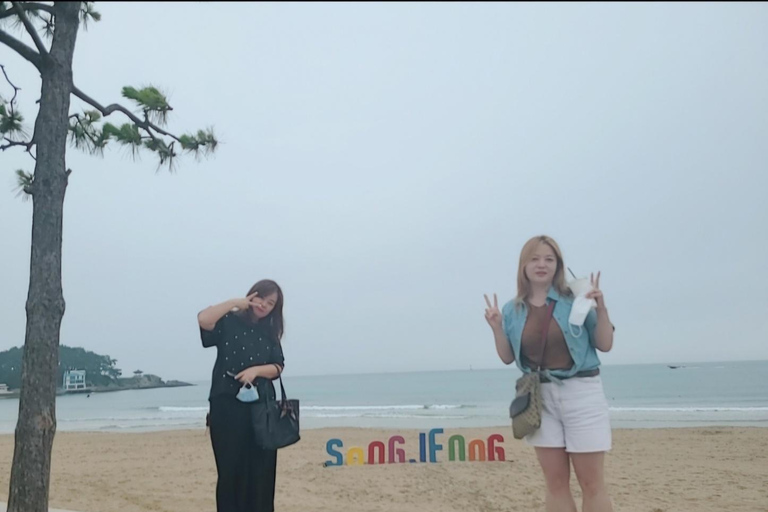 Busan: Excursão compartilhada para ver o pôr do sol em Gyeongju em van de luxoBusan: Excursão compartilhada para ver o pôr do sol em Gyeongju em uma van de luxo