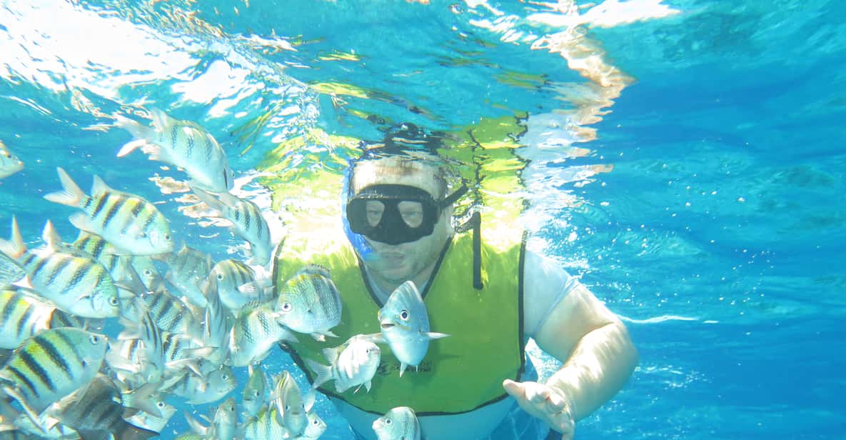 Cozumel Glass Bottom Boat & Snorkeling with Beach Lunch GetYourGuide