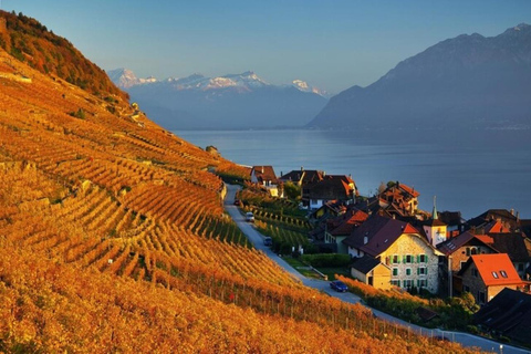 Genève : Visite guidée des vignoblesTOUR DU VIN