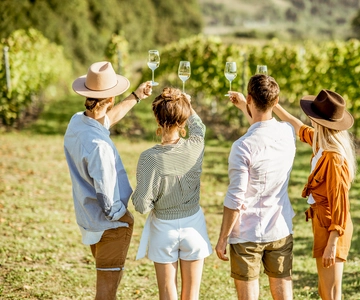 Sonoma Valley: Guided Winery Tour with Picnic Lunch