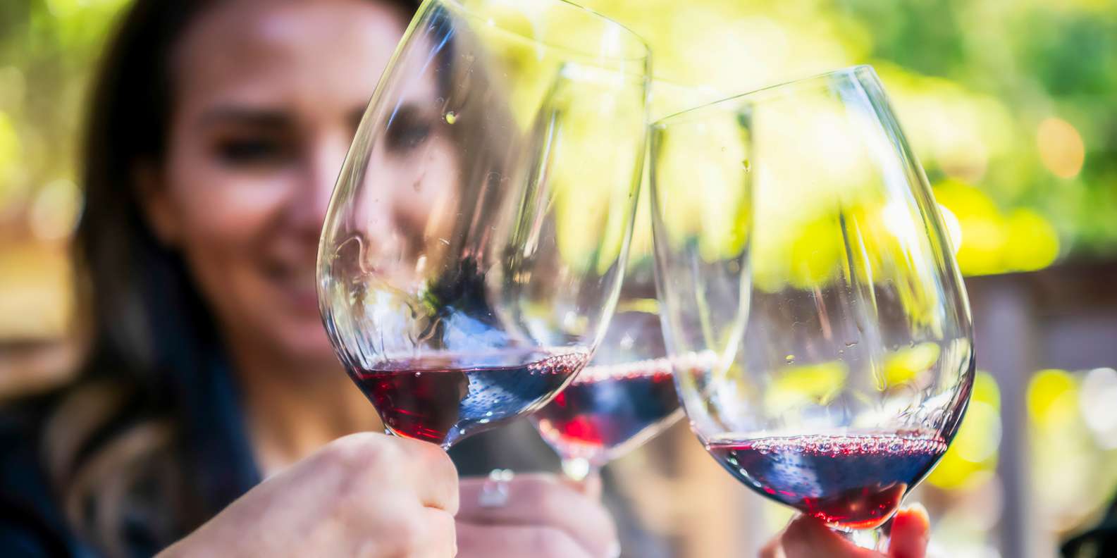 Napa Valley wine tour — vineyards and wine tasting — image 1