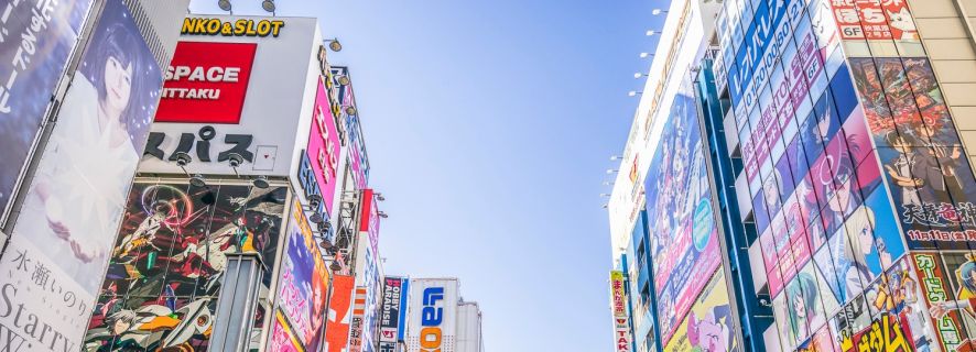 Tokyo: Private Customizable Walking Tour with Pickup