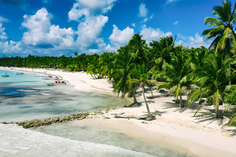 Île de Saona privée : Excursion en bateau rapide depuis Punta CanaVisite privée de l'île de Saona avec Mano Juan en bateau rapide