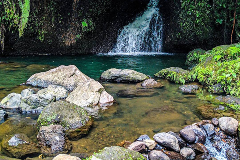 Tetebatu Waterfalls, Rice Terraces & Monkey Forest Day trip