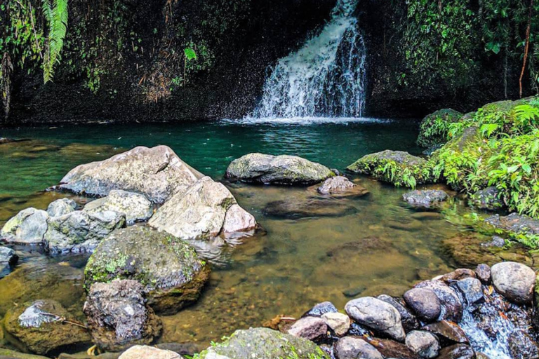 Tetebatu Waterfalls, Rice Terraces & Monkey Forest Day trip