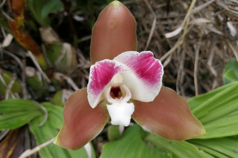 2 Days - Short Inca Trail to MachuPicchu