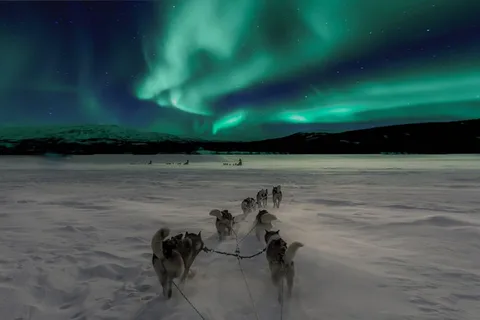 Rovaniemi : aurores boréales et promenade en traîneau à huskies