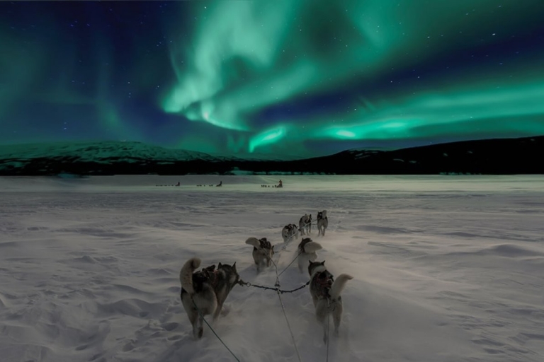 Rovaniemi: aurores boréales et balade en traîneau Husky