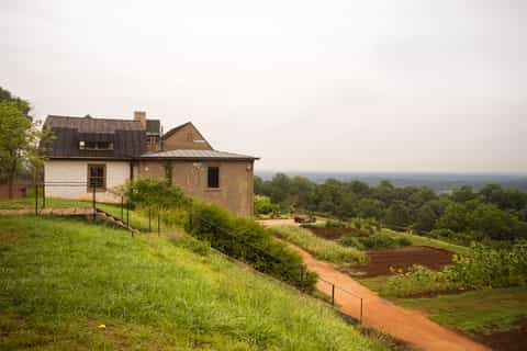 DC: Private Day Trip a Thomas Jefferson's Monticello Estate