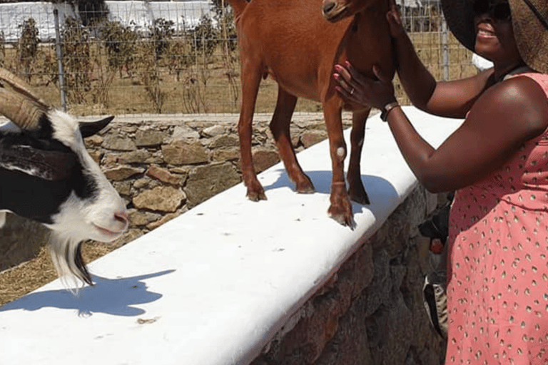 Mykonos: Visita guiada à fazenda, à vila de Ano Mera e às praias