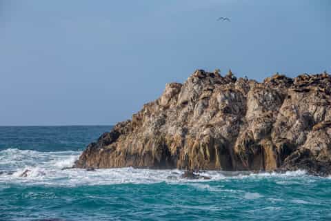 Channel Islands Full-Day Private Sailing Trip