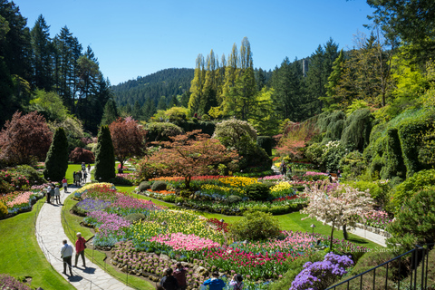 Desde Vancouver: Visita a los Jardines Butchart y VictoriaDesde Vancouver: Jardines Butchart y tour turístico por Victoria